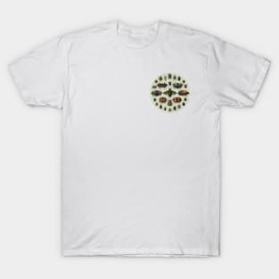 Circular Vintage Insect Entomology T-Shirt